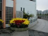 small image