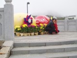 small image