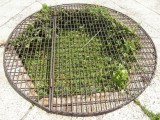 small image