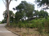 small image