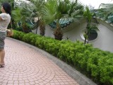 small image